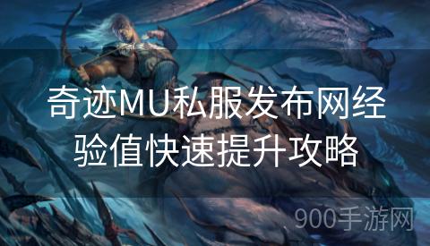 奇迹MU私服发布网经验值快速提升攻略