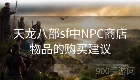 天龙八部sf中NPC商店物品的购买建议