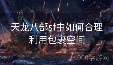 天龙八部sf中如何合理利用包裹空间